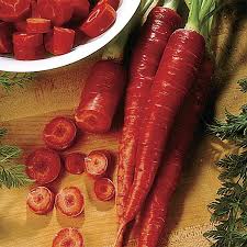Carrot Atomic Red #6275 | Dutch Garden Nursery