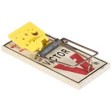 Victor EZ Set Mouse Traps 4 Pk #7698 | Dutch Garden Nursery ...